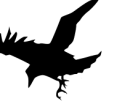 crow-logo